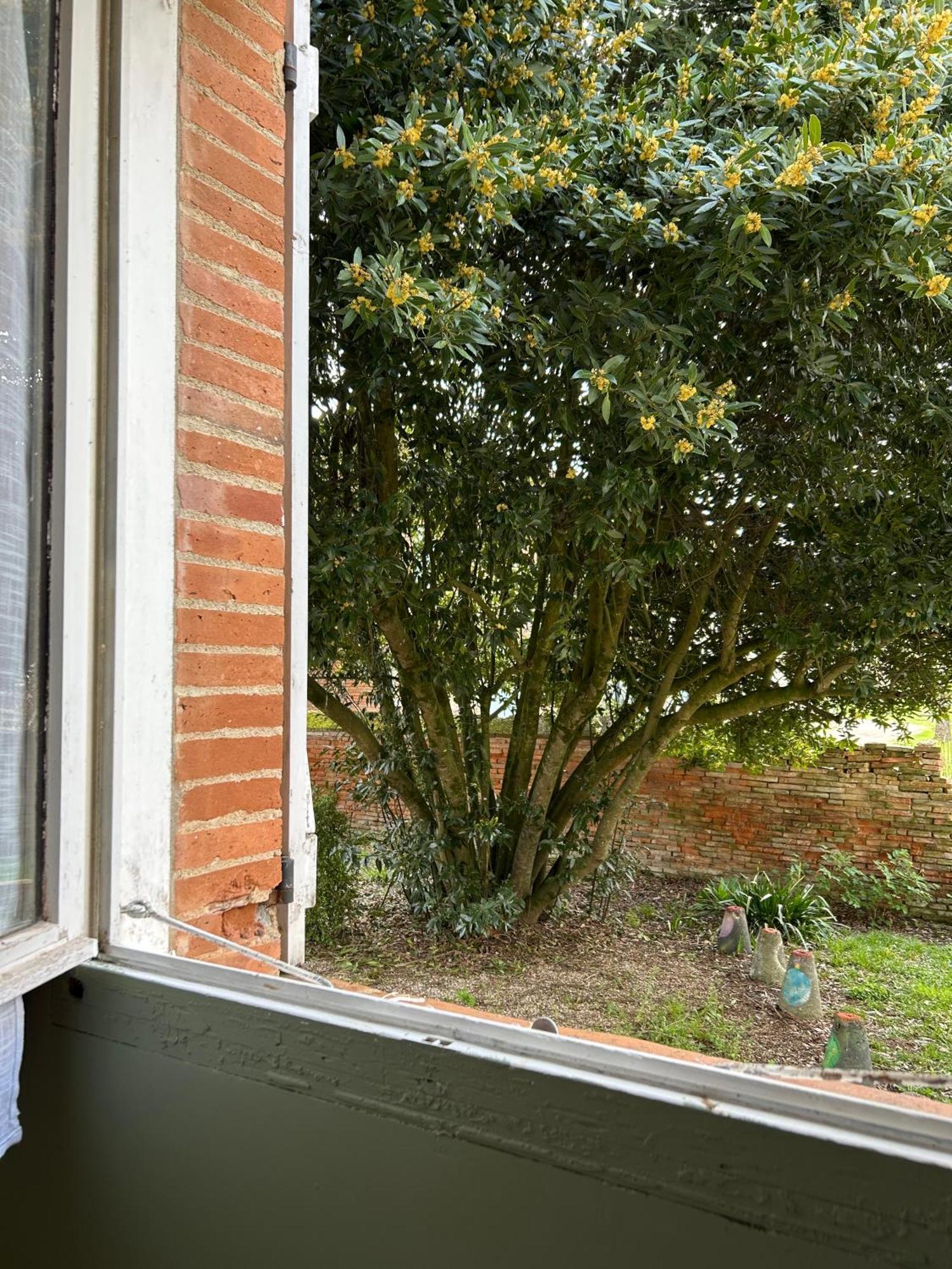 Manoir De La Gravette, Maison & Table D'Hotes มงโตบ็อง ภายนอก รูปภาพ
